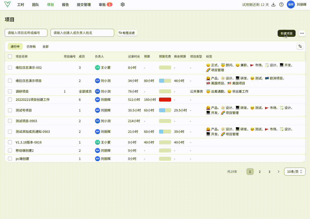 项目标签设置