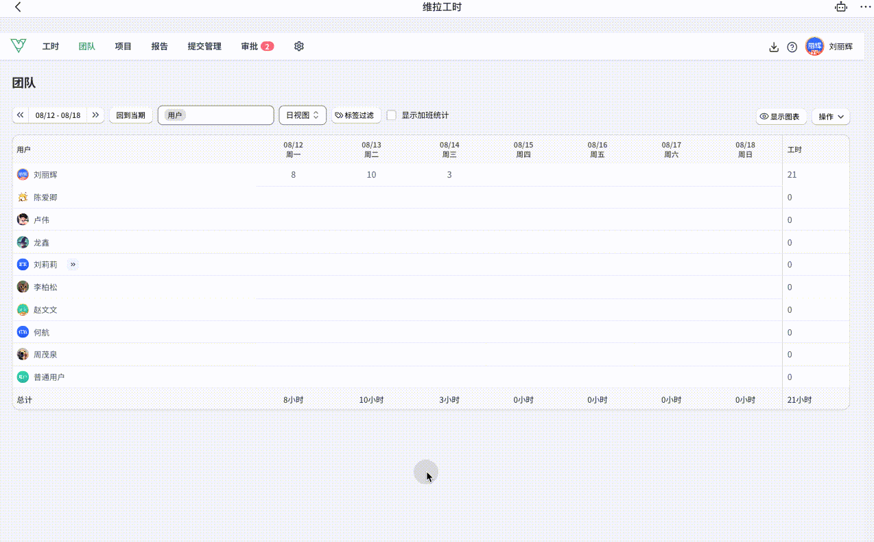 维拉工时-团队查看成员记录和加班详情